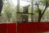 魏縣張盼盼最新爆料,揭秘事件背后驚人真相