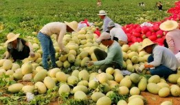 網紅吃瓜渠道,幕后真相大曝光！